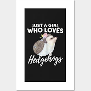 Just A Girl Who Loves Hedgehogs Animal Lover Gift Posters and Art